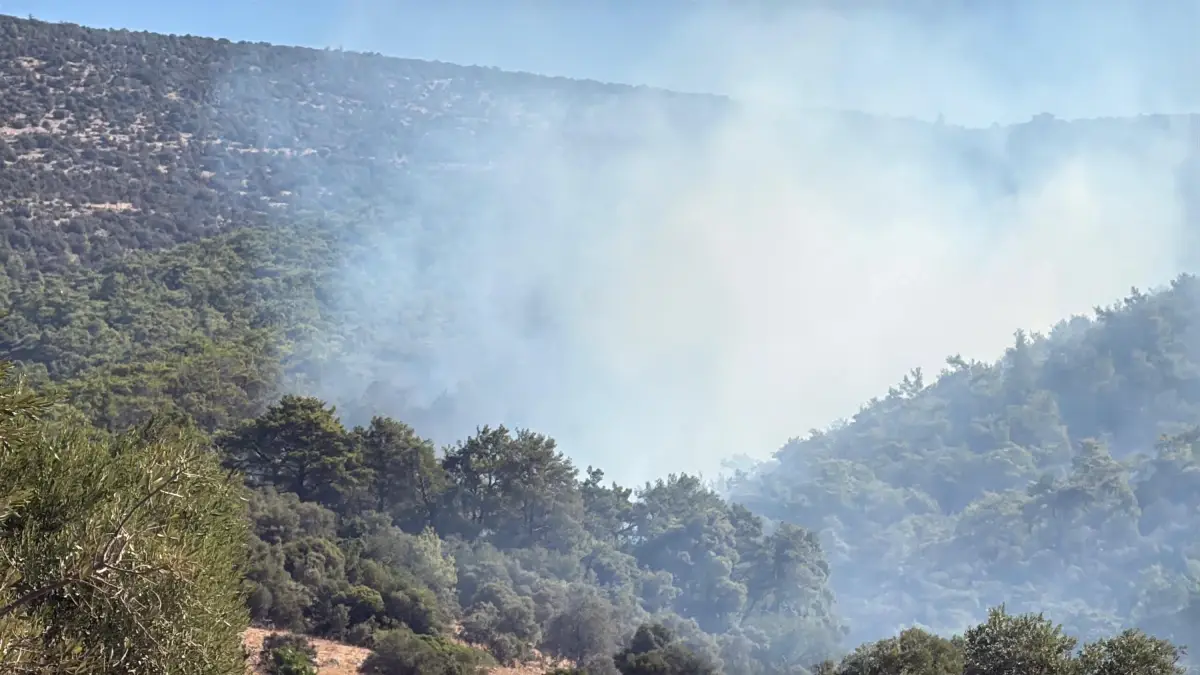 milasta orman yangini cineye sicradi gzNugAj6