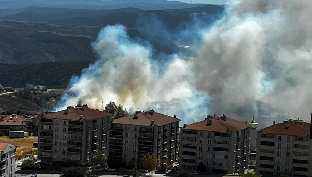 salca icin bileciki yakti KilO1dkL