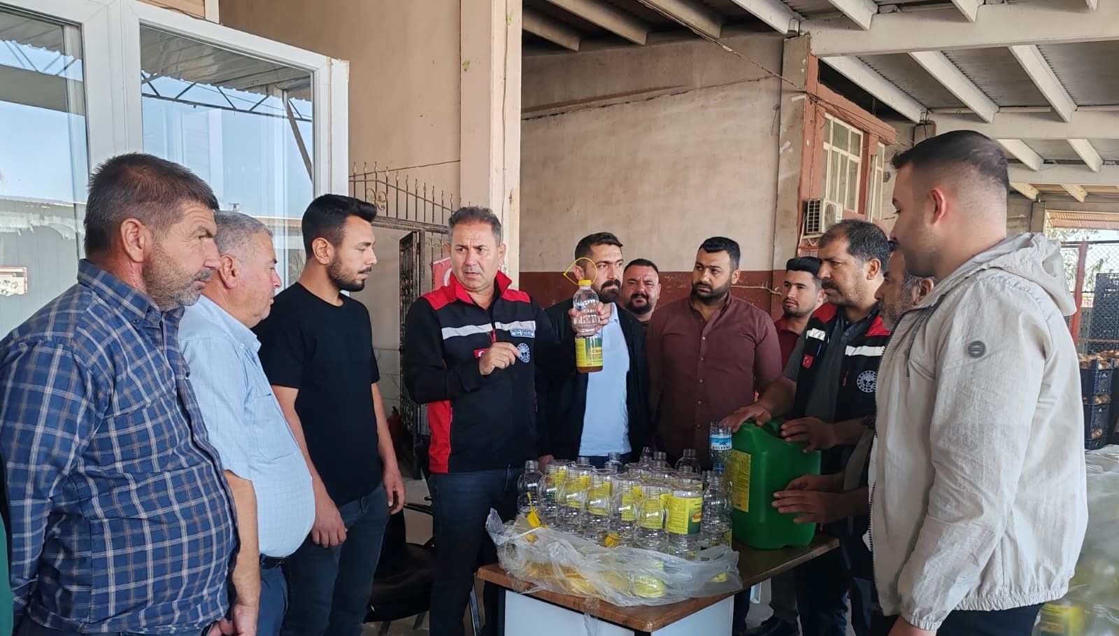 akdeniz meyve sinegi ile mucadele suruyor 8wwpNDBc.jpg