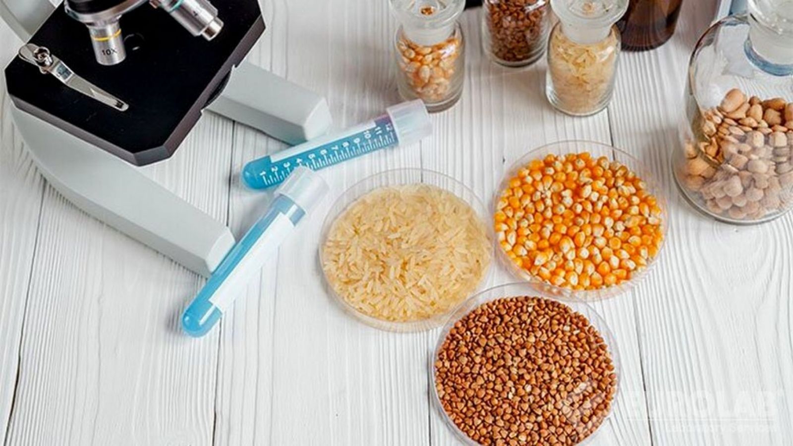 tmr ve kaba yemlerde yem analizi makinesi avantajlari 4aEbOJee