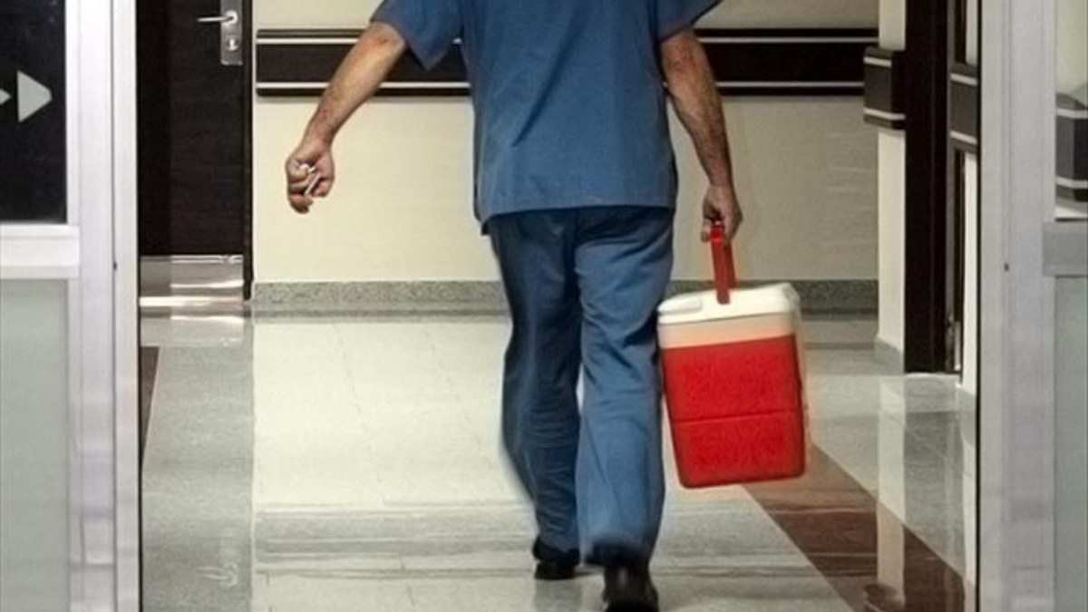 turkiyede 33 bine yakin hasta organ nakli bekliyor fWFZDpUU.jpg